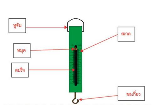 เครื่องชั่งสปริงแบบแขวน สอบเทียบเครื่องมือวัด เครื่องมือวัดด้านมวล สอบเทียบด้านมวล