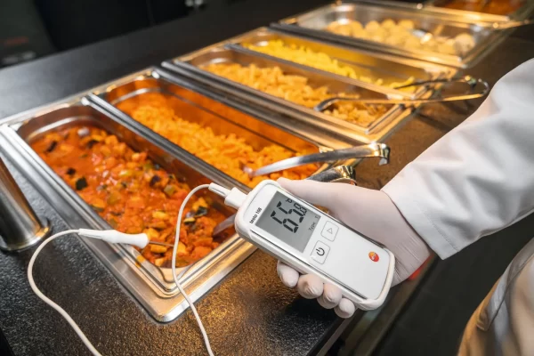 testo 108 Temperature measuring instrument