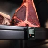 testo-174H-food-supermarket-dry-aged-beef-V1-de_master