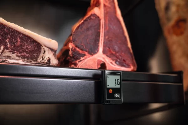 testo 174H Mini data logger Temperature and humidity