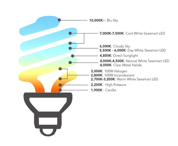 Color Light Box 